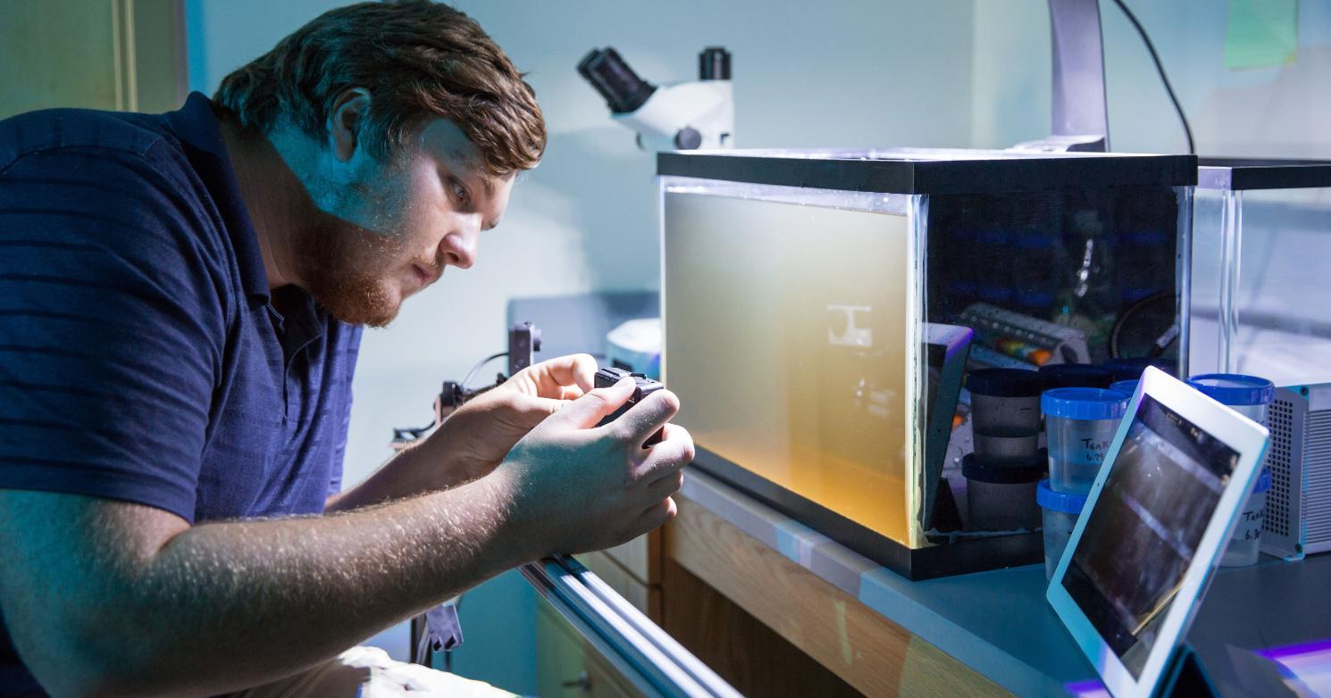 Jacob Spain ’17 videotaping fish feeding in a tank